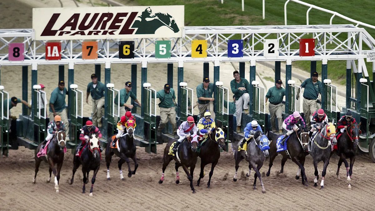 Preakness Stakes 2026: hora de publicación, TV, información de transmisión, ganadores anteriores, clima y más