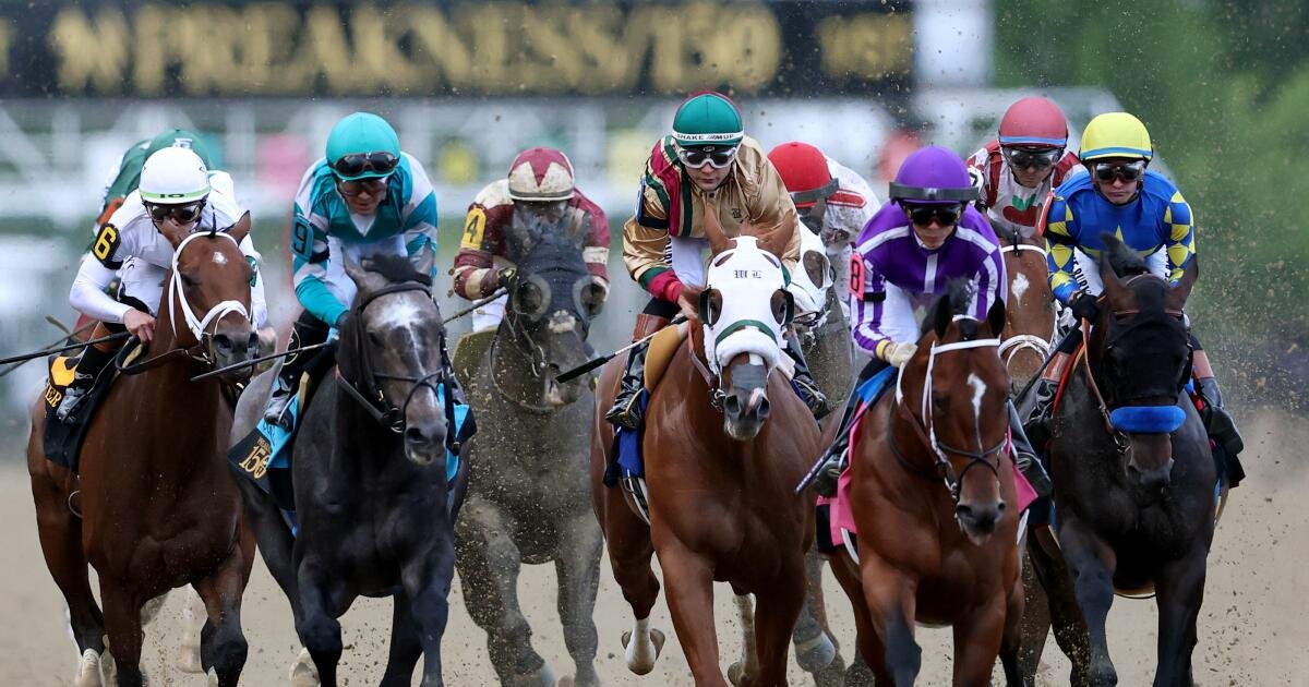 Sorteo de Preakness: el técnico quiere hacer historia con el Taj Mahal